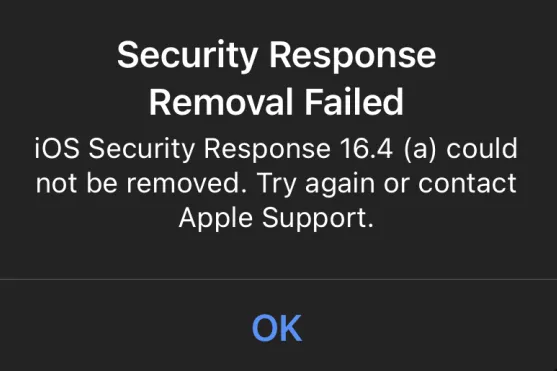 Das Apple-Sicherheitsupdate/iPhone kann nicht entfernt werden