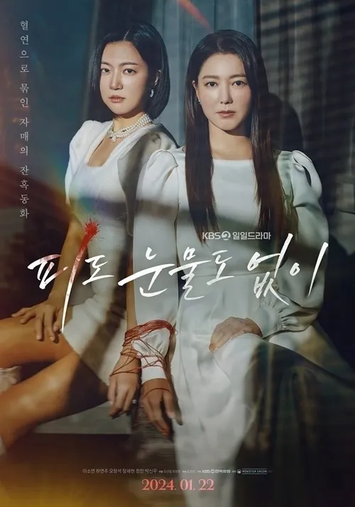 Plakat für KBS2s neues tägliches Drama „Ohne Blut und Tränen“. Foto KBS