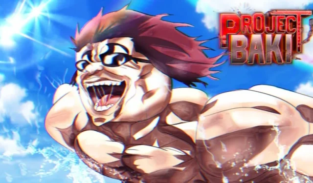 2024年10月のProject Baki 3のコードとアップデート